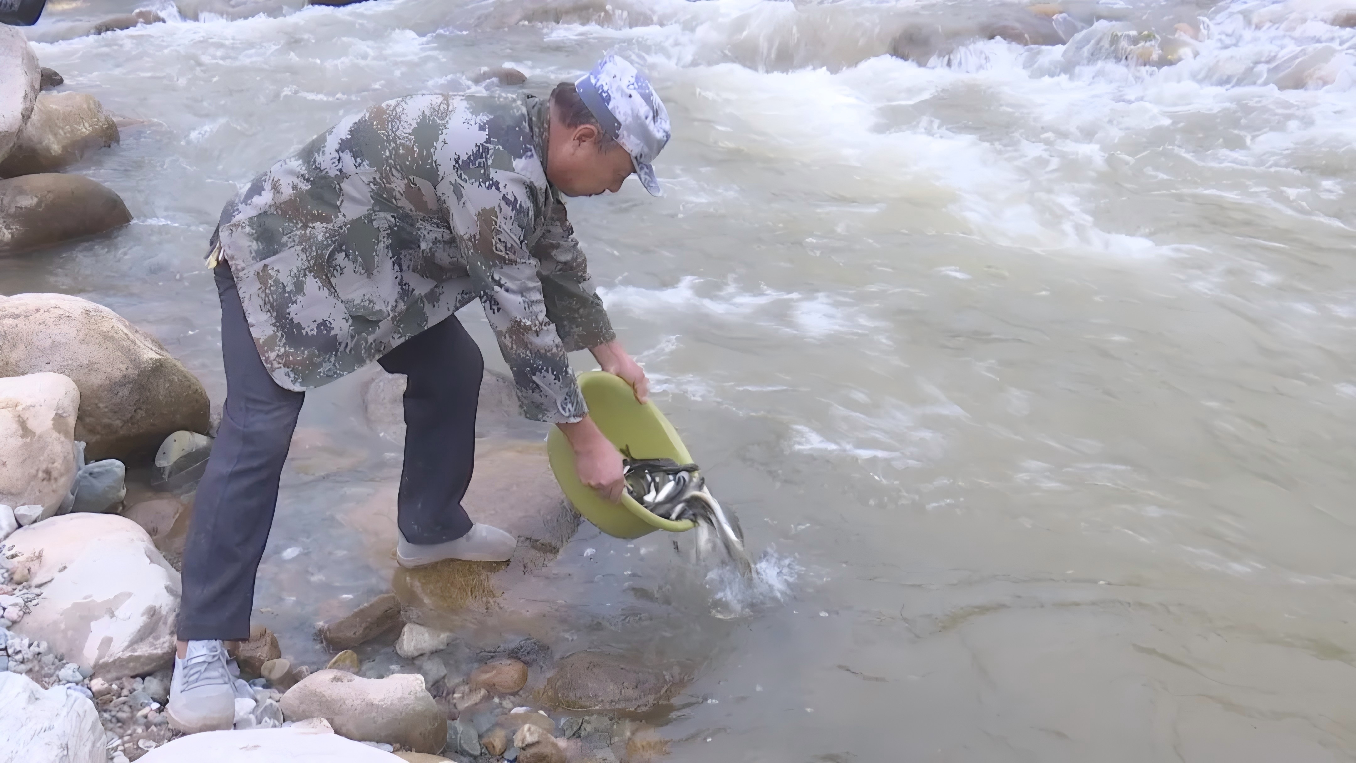 凤县：17万尾鱼苗入水助力生态修复