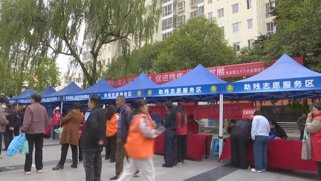 凤县开展助残志愿服务 传递社会温情暖意